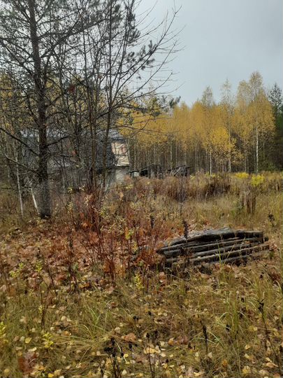 Участок 10 сот. (СНТ, ДНП)