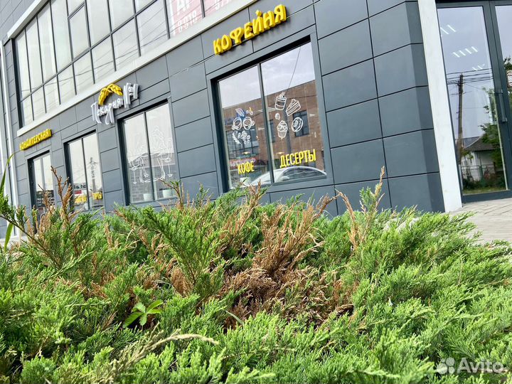 Посуломойщик