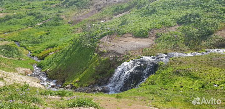 Перевозка пассажиров