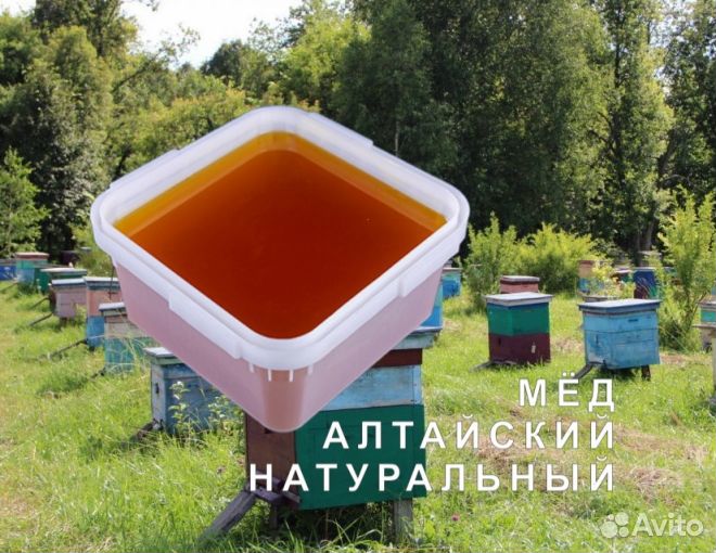 Мёд натуральный с Алтая опт