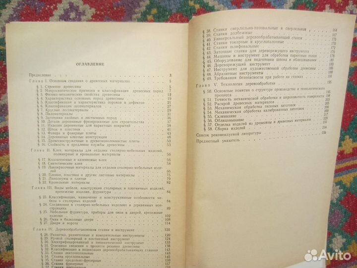 А.Б. Земляной. Любимчик богов. Кровь Рюрика. 2017