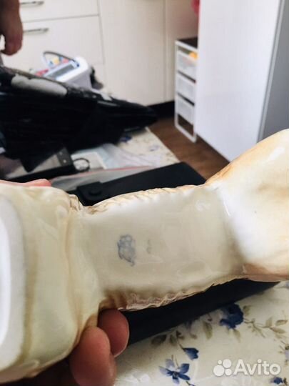 Афганская борзая лфз