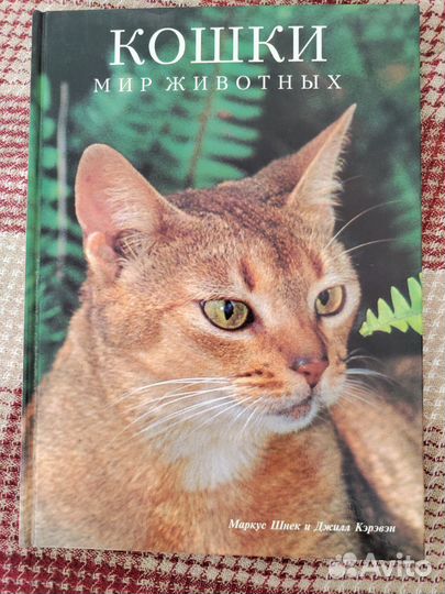 Книги о кошках