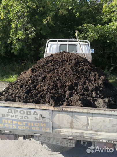 Перегной скотский