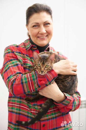 Няня для собак и кошек