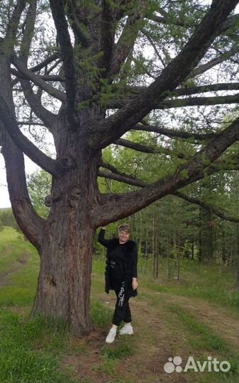 Спортивный костюм женский 52 54