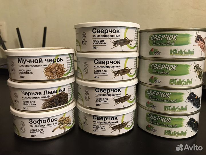 Все для рептилий