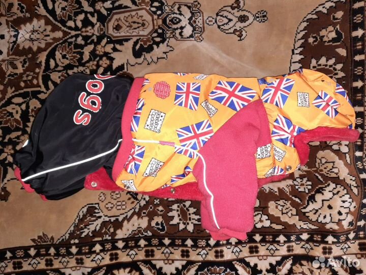 Зимний комбинезон и намордник для маленьких собак