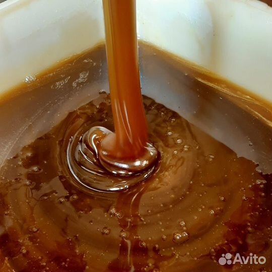 Мед Алтайский сбор 2023