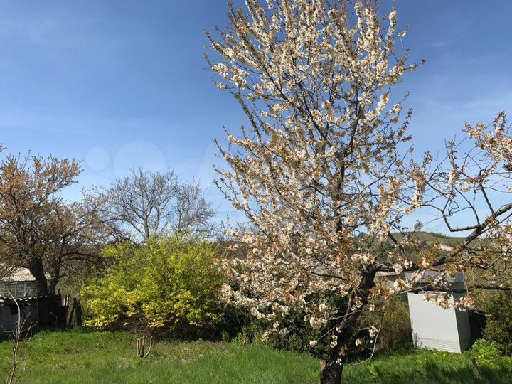 Участок 5 га (СНТ, ДНП)