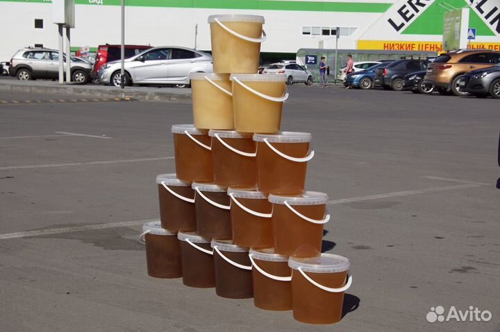 Свежий мёд сентябрь 2023 - доставка бесплатная