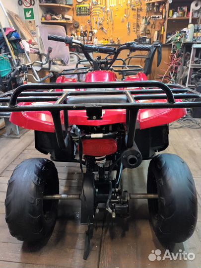 Nexus motors ATV 110