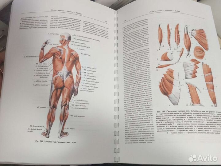 Комплект - Анатомия Синельникова 4тома
