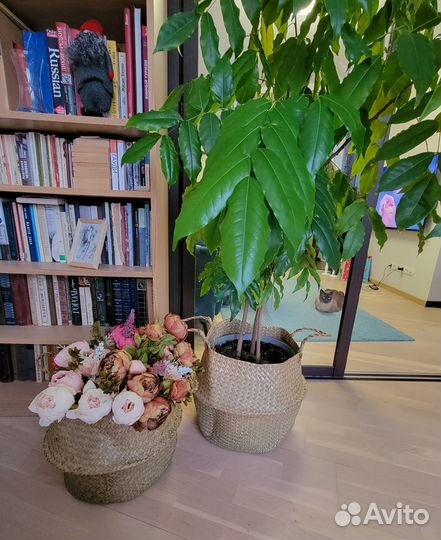 Плетенная корзина большая