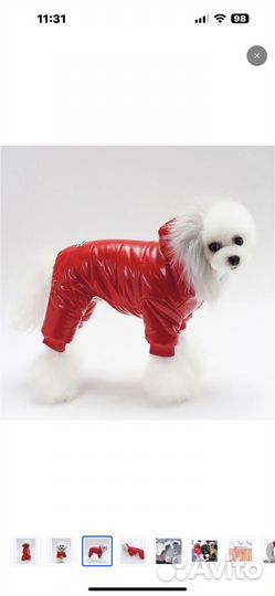 Зимний комбинезон для маленькой собаки