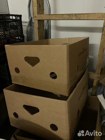 Банановые коробки бу