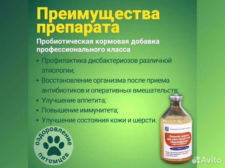 Пробиотик Помоги собаке при расстройствах пищеварения