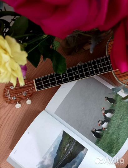 Журналы Veter, Sheverda, Kinfolk, Heim, Voug