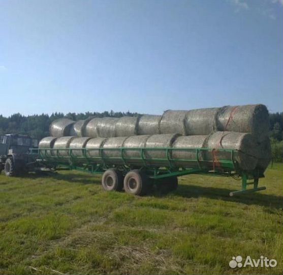 Сено луговое 2023