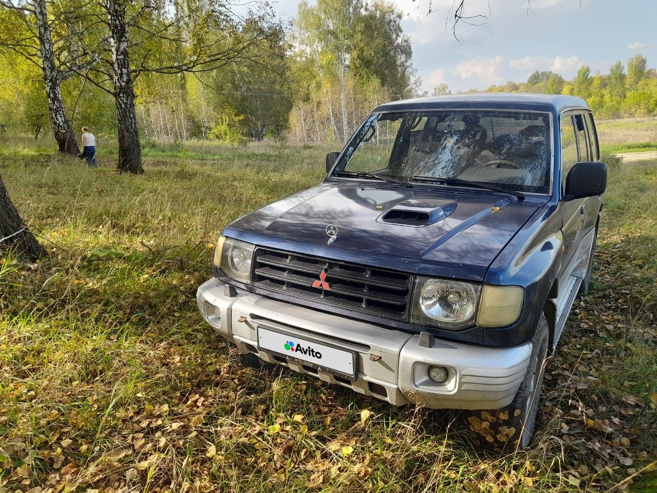 Mitsubishi Pajero: фото владельца