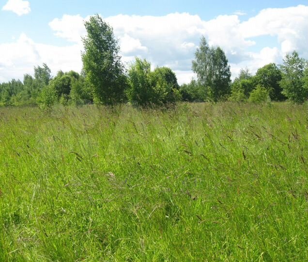 Участок 20 сот. (СНТ, ДНП)