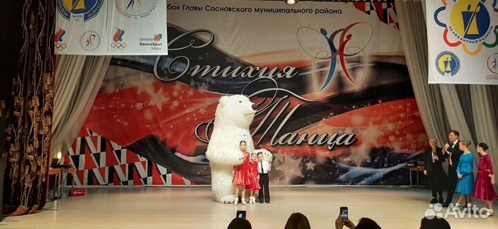 Аэромедведь, пневмокостюм медведя надувной костюм