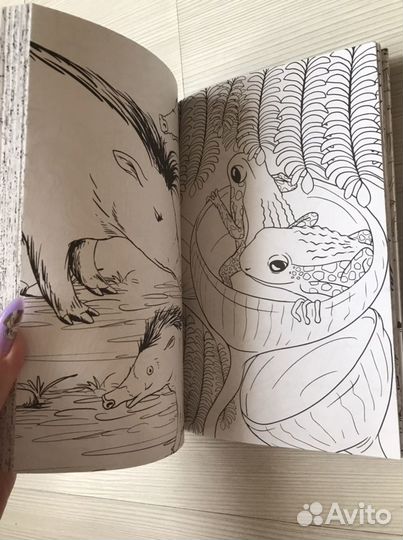 Раскраска антистресс