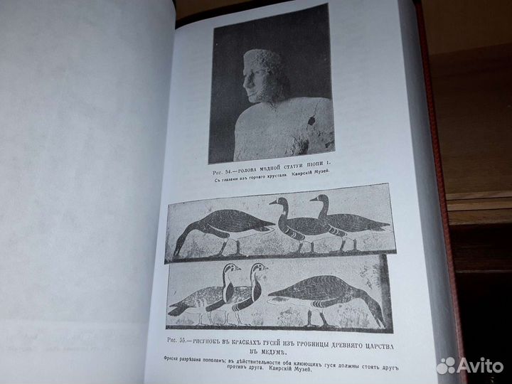 Брэстед Д. Г. История Египта от древнейших времен