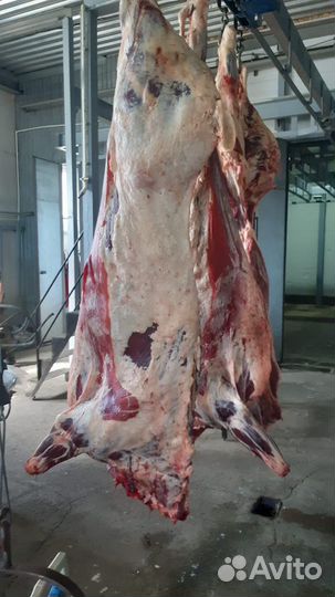 Телятина мясо (говядина) фермерская