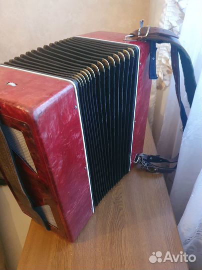 Баян унисон