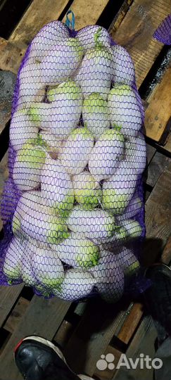 Мойка овощей