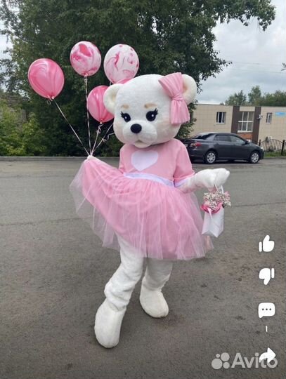Аниматор. Аренда.Ростовая кукла. Мишка, котик