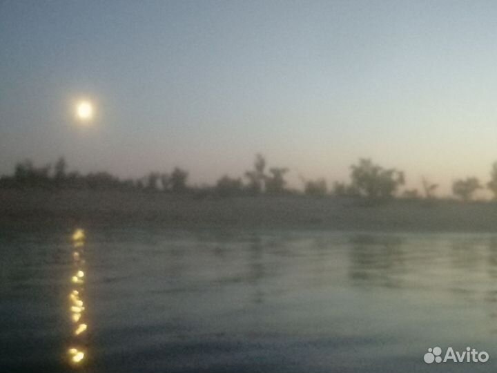 Живые раки с доставкой