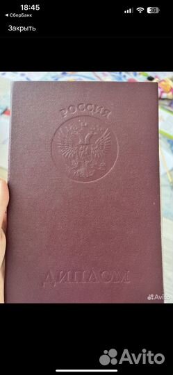 Ветеринарный врач