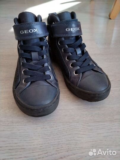 Ботинки для девочки Geox 31
