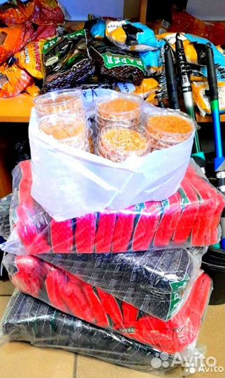 Опарыш, навозник и выползок без выходных