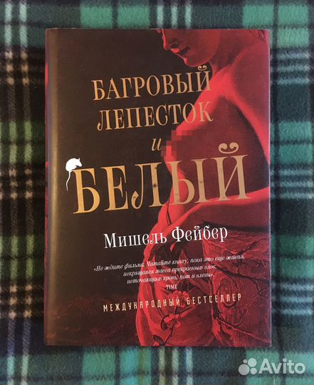 Мишель Фейбер, 