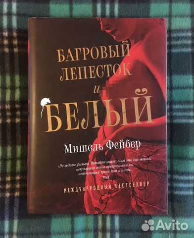 Мишель Фейбер, 