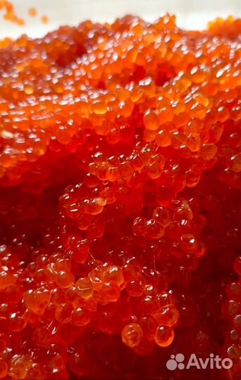 Красная икра кета