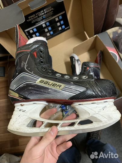 Коньки bauer vapor x800