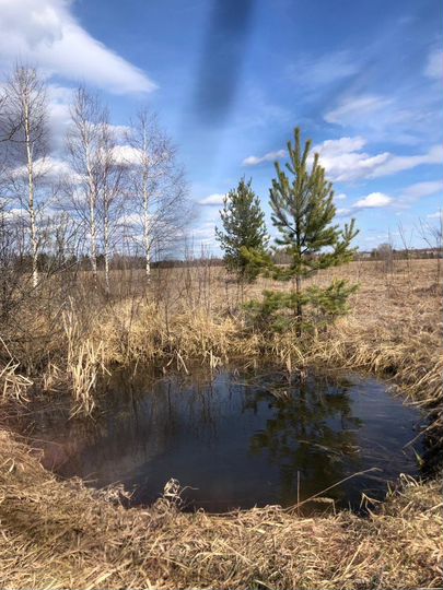 Участок 12 сот. (ИЖС)