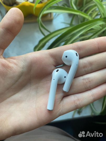 Apple airpods 2019 б/у