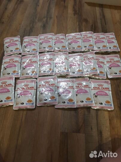 Влажный корм для котят роял канин
