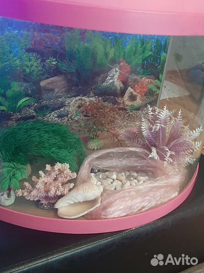 Аквариум 