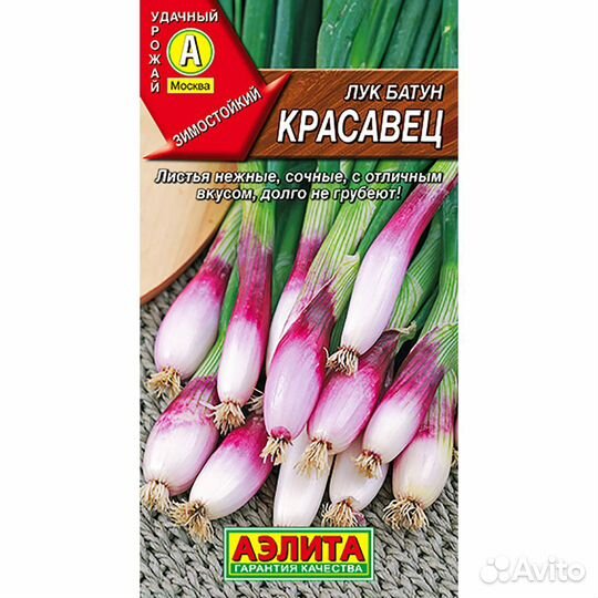 Лук батун Красавец