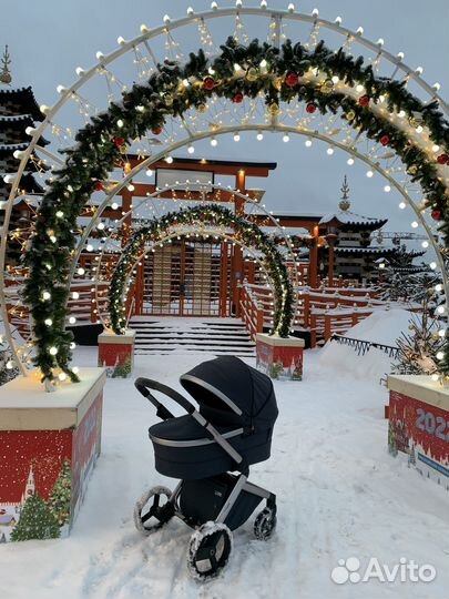 Коляска anex l type 2 в 1