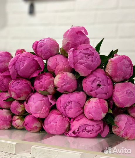 Живые цветы оптом. Розы оптом