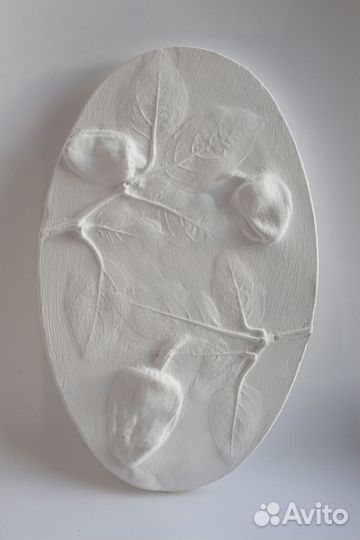 Ботанический барельеф