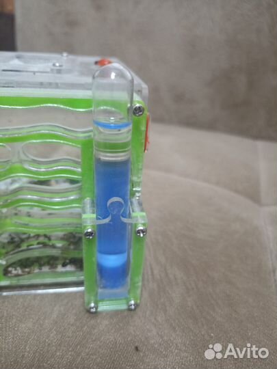 Формикарий -муравьиная ферма