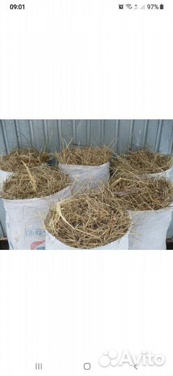 Сено в мешках